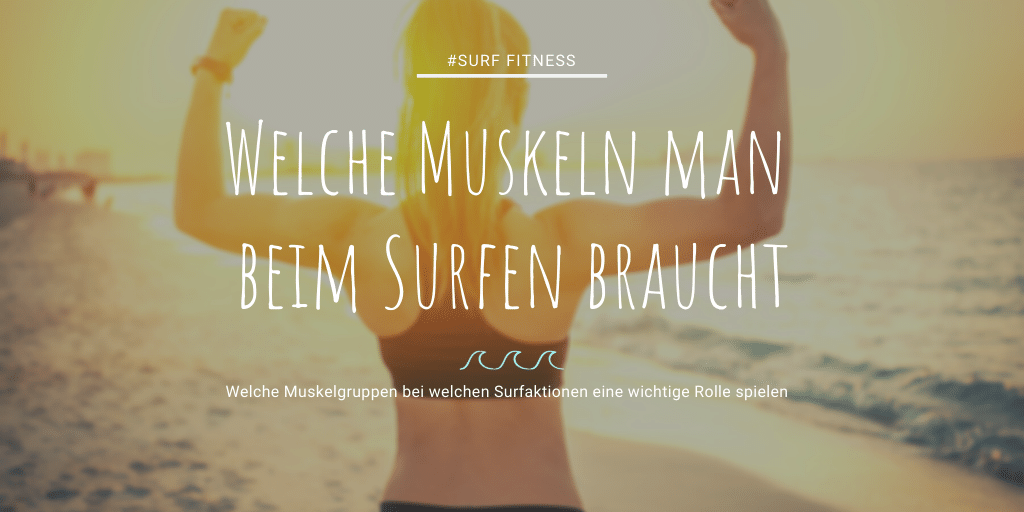 Welche Muskeln beim Surfen Training